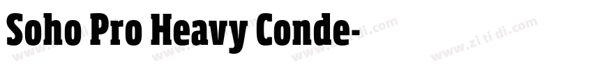 Soho Pro Heavy Conde字体转换 Soho Pro Heavy Conde字体转换